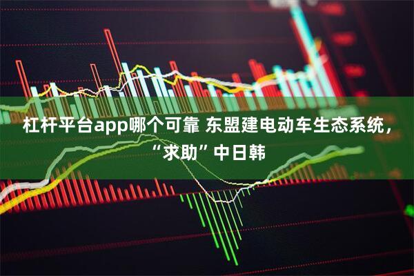 杠杆平台app哪个可靠 东盟建电动车生态系统，“求助”中日韩