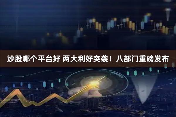 炒股哪个平台好 两大利好突袭！八部门重磅发布